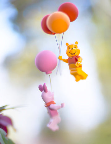 Shelly Corbett Photography